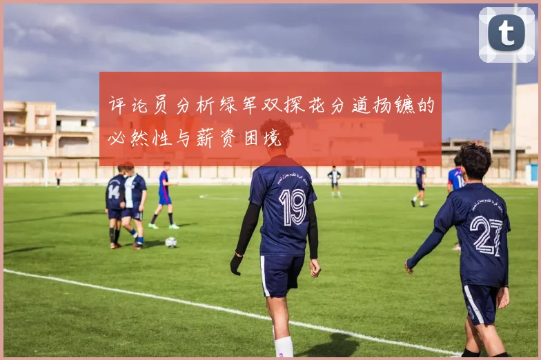 评论员分析绿军双探花分道扬镳的必然性与薪资困境